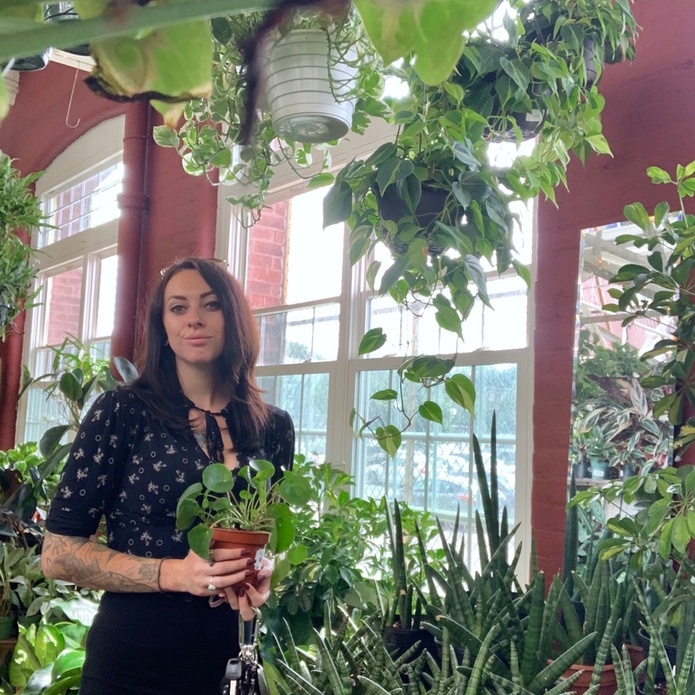 Meet your Posher, Marie